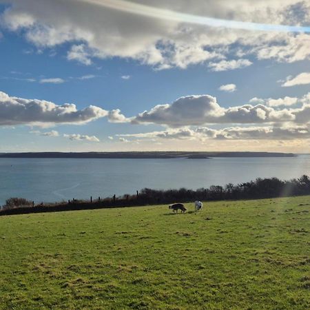Coast Path Camping Saint Ishmaels  Extérieur photo
