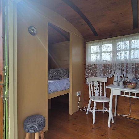 Coast Path Camping Saint Ishmaels  Extérieur photo