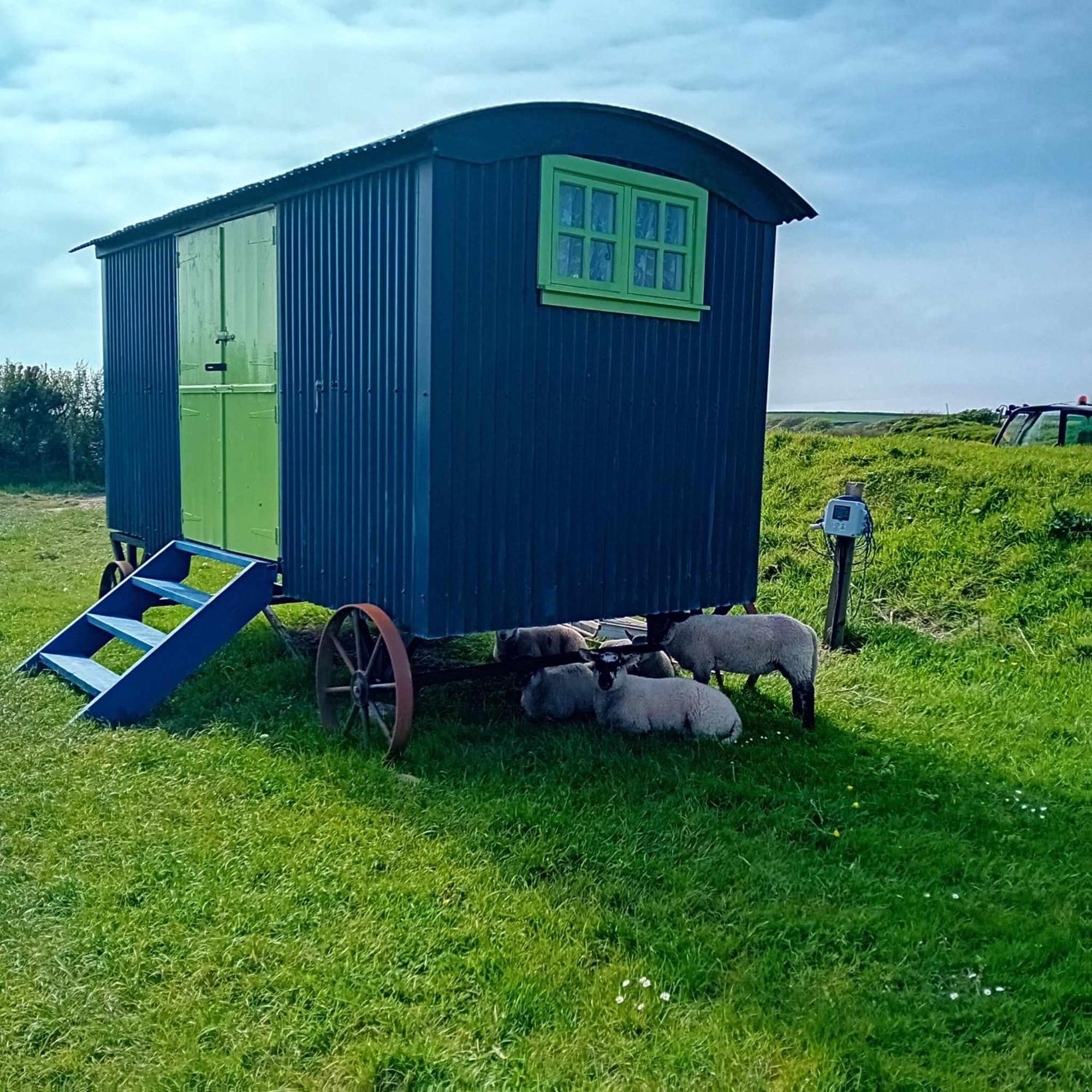 Coast Path Camping Saint Ishmaels  Extérieur photo
