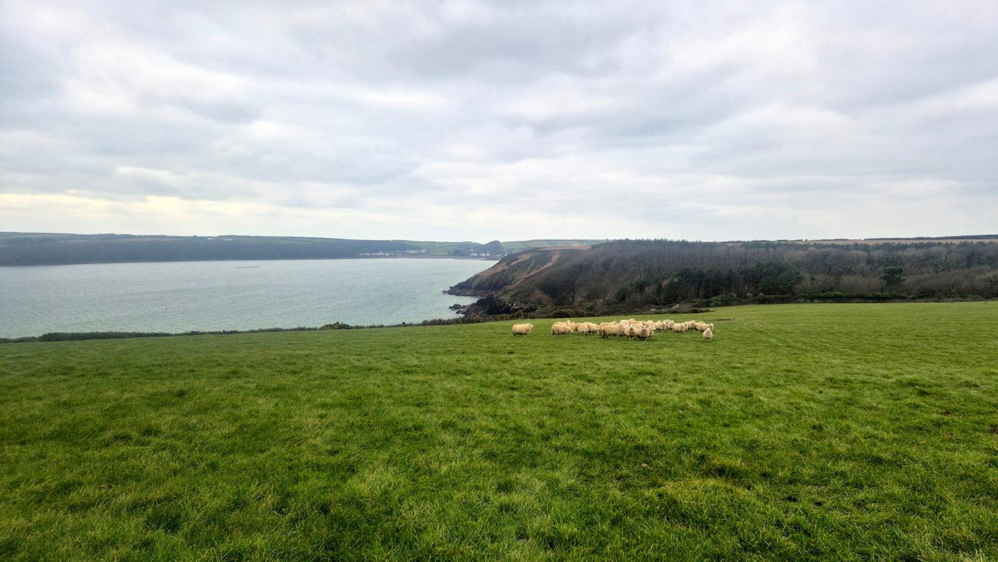 Coast Path Camping Saint Ishmaels  Extérieur photo